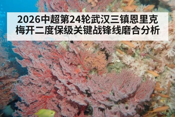 2026中超第24轮武汉三镇恩里克梅开二度保级关键战锋线磨合分析